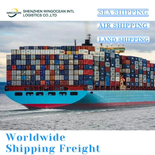 Gold Service Sea Freight Shipping Reliable Shipping Agent From Shenzhen to Worldwide