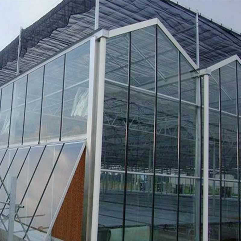 Venlo Tempered/Floated 4mm/5mm Glass Multi-Span Greenhouse for Agriculture