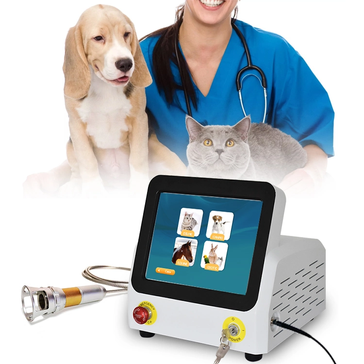 Venda populares Professional Terapia instrumentos veterinários para alívio da dor e a cicatrização de animais de estimação e animais de maior porte Device