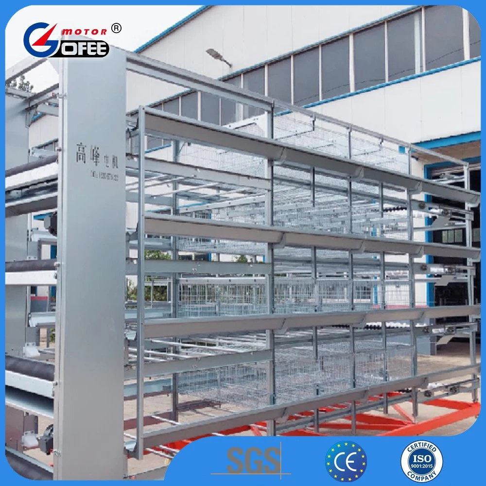 Automatic Galvanized Mesh Frame Chicken Broiler Layer Feeding Trough Fittings with Water Pipe Cages