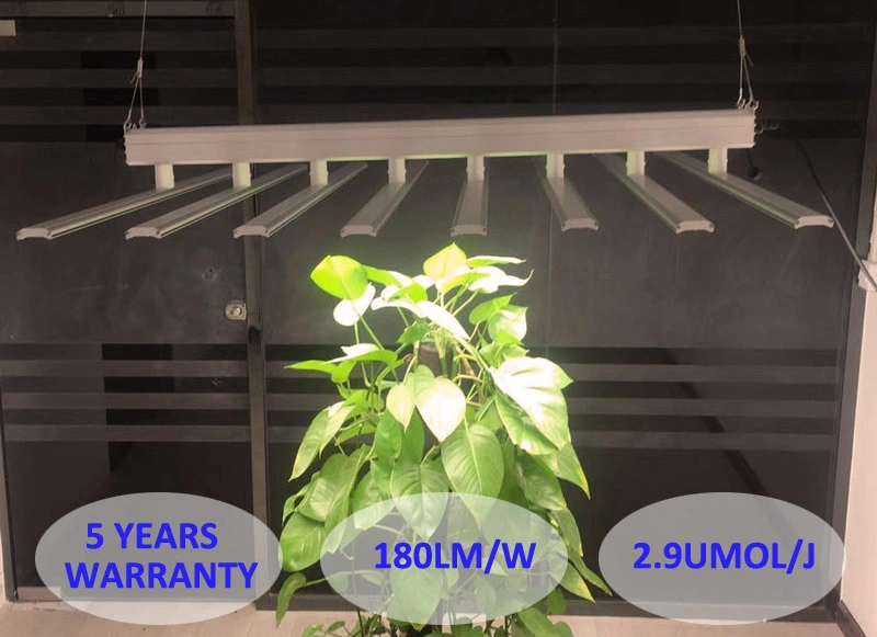 LED Light Indoor Farming Optimal Growing Outdoor Light Fixtures480W 100-220VAC Water Proof IP65 Lights 5 Years Warranty