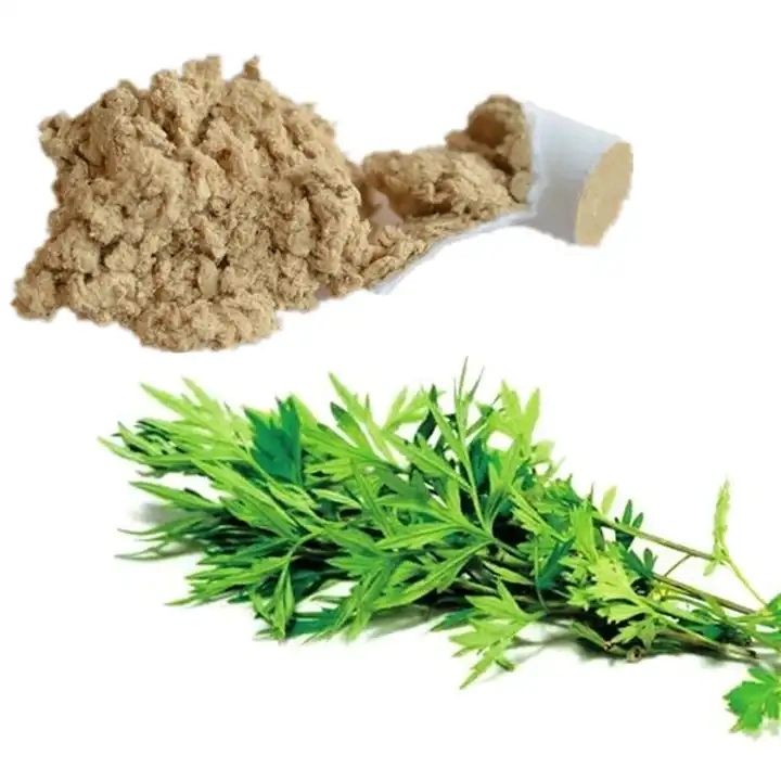 Pure Natural Feed Material Mugwort Leaf Extract Mugwort Leaf Extract Powder