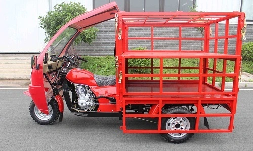 La carga de carga eléctrica de la Motocicleta triciclo triciclo ruedas de Auto de pasajeros de motocicletas