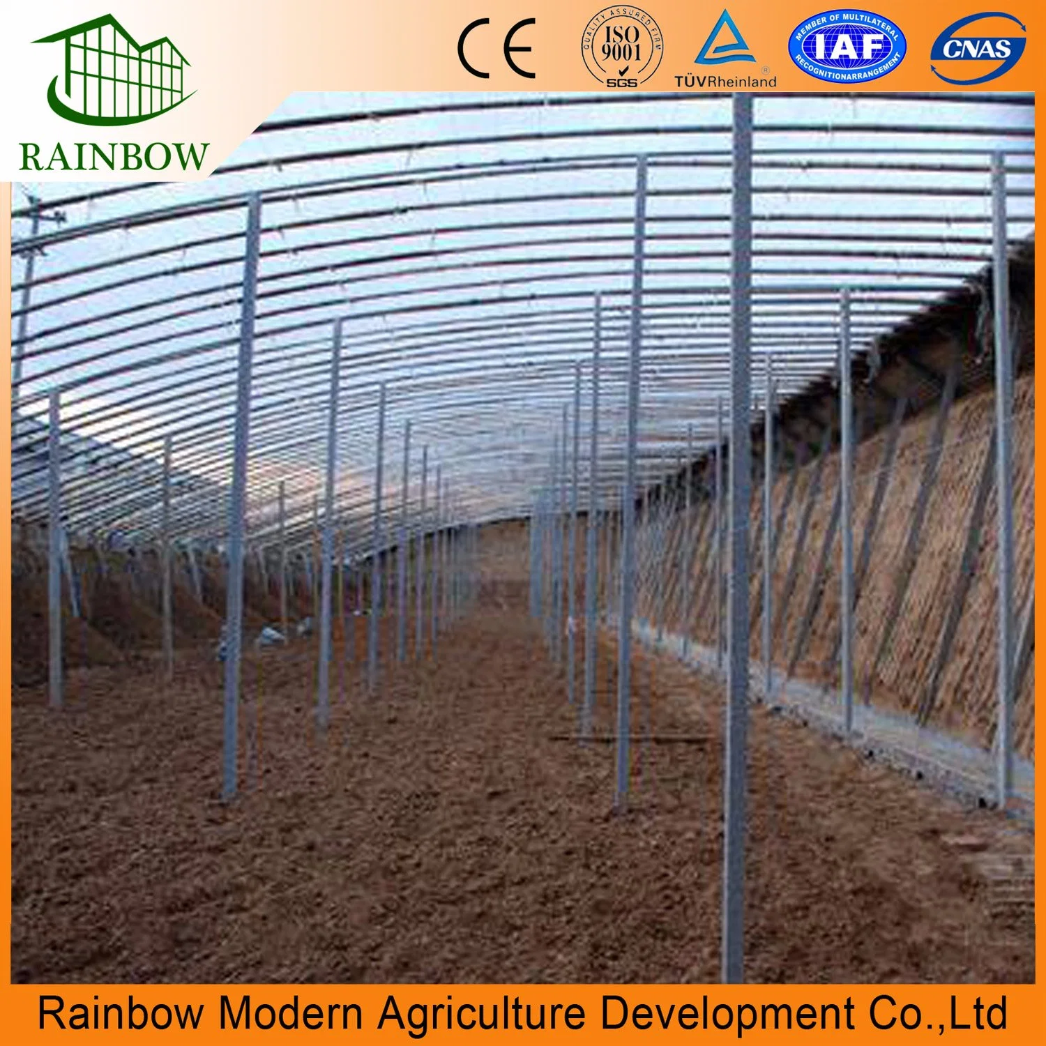 Low Cost Commercial Greenhouse for Vegetables