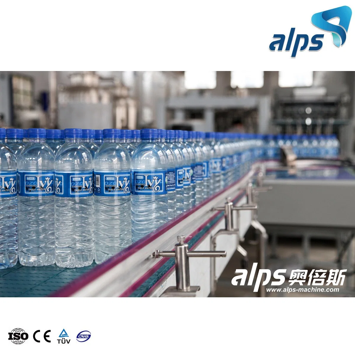 Ligne de production complète de bouteilles en verre pour animaux de compagnie avec machine de remplissage 3 en 1 d'eau pure.