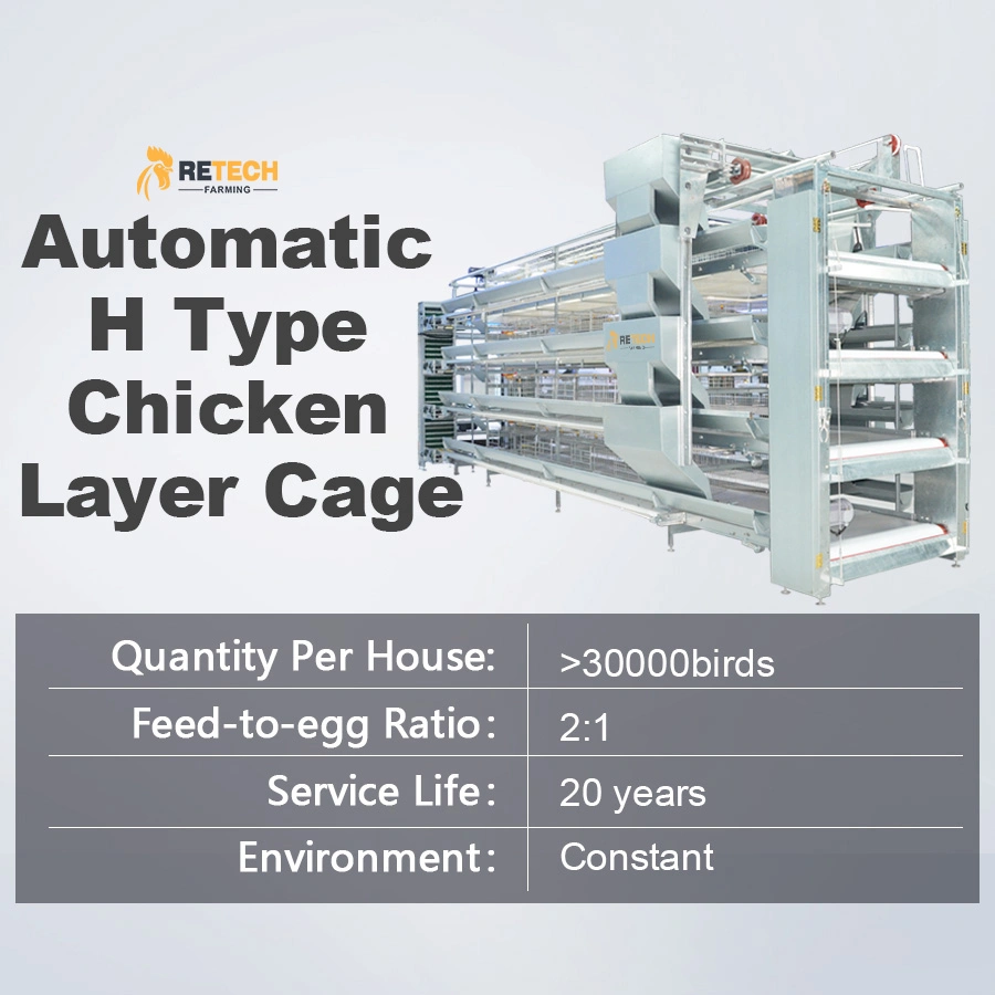 Exécution acier galvanisé Type H automatique cage de pose d'oeufs de poulet