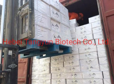 CAS: 2921-88-2 Agricultural Chemicals Insecticide Chlorpyrifos 98%Tc 480g/L Ec