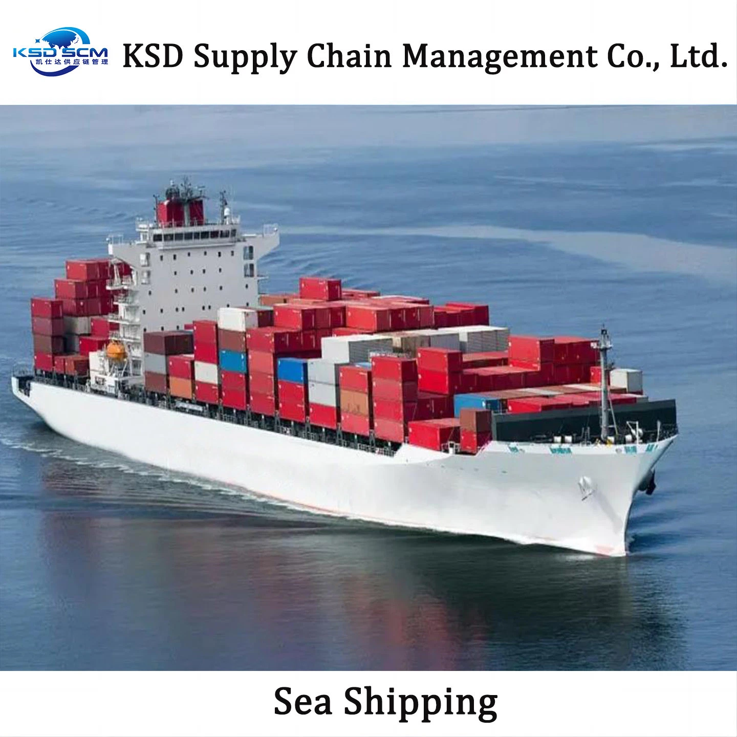 Ocean Shipping 20FT 40FT Container Agent Freight Forwarder From Qingdao China to Indian