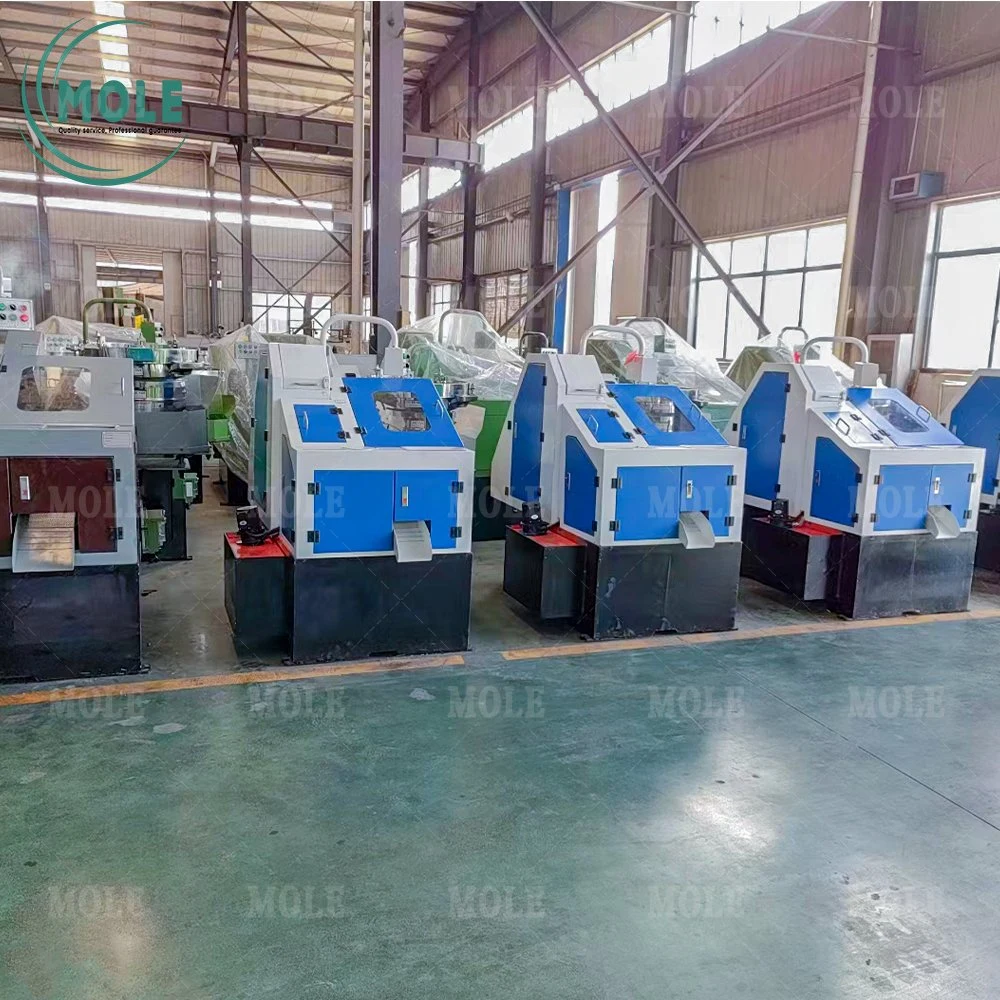 Drywall/Slotted Head/Self Tapping Screw Making Machine