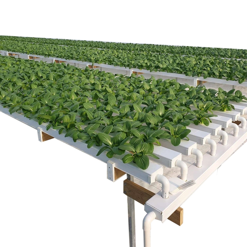 100 * 50mm Landwirtschaft NFT System hydroponic Food-Grade wachsende quadratische Rohrgestell Wasserrinne Des Systems