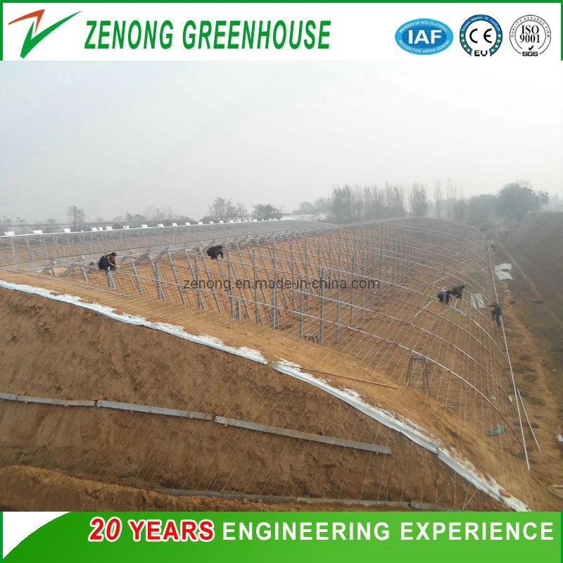 Chinese Po Film Greenhouse Solar Greenhouse with Cooling System for Growing Flowers/Tomato