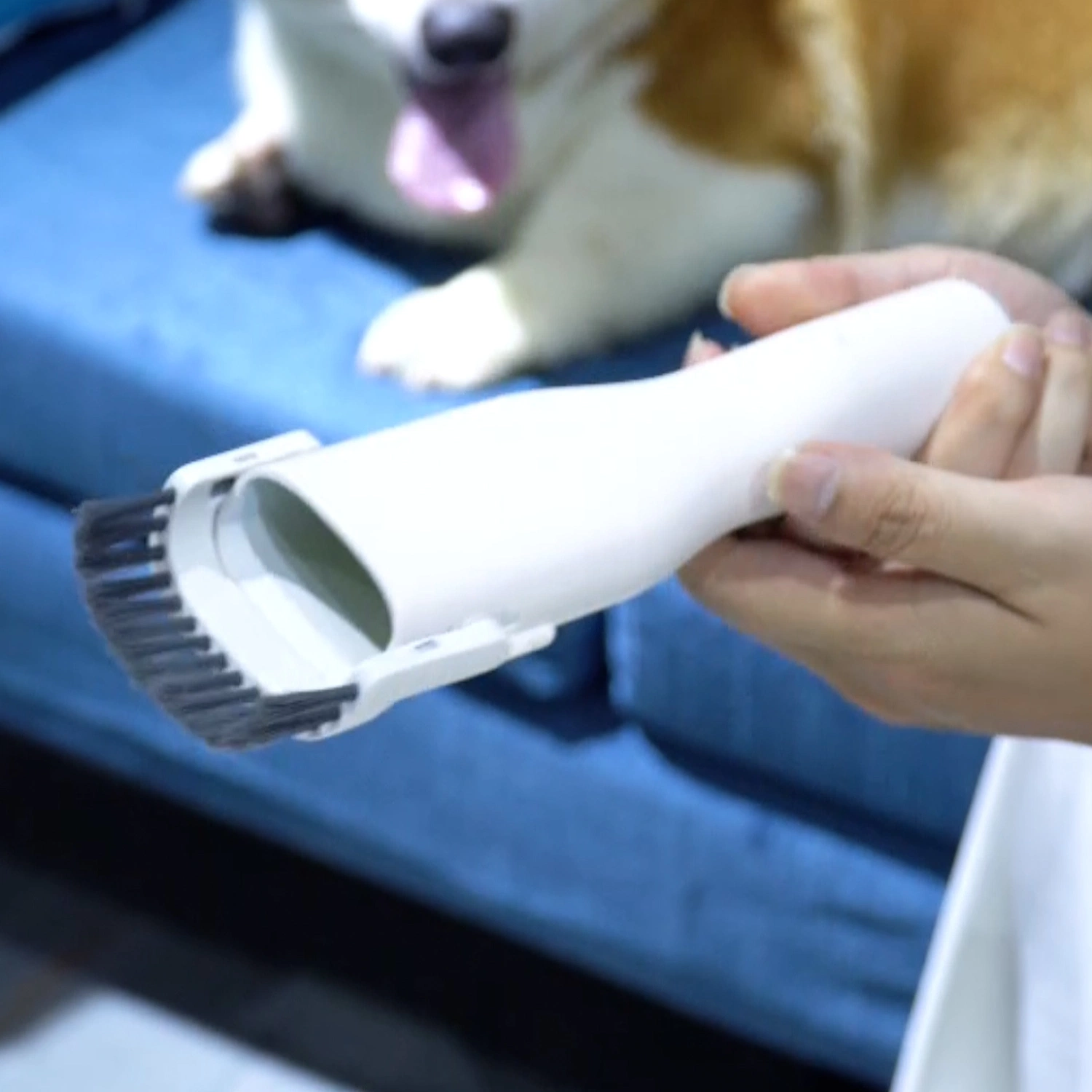 Eletrodomésticos Aspirador Cabelo Grooming Pet