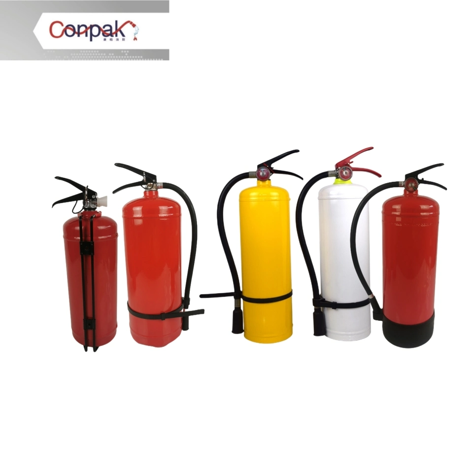 Wholesale/Supplier Customized Good Quality Car Steel Fire Extinguisher Tool Accessories Portable