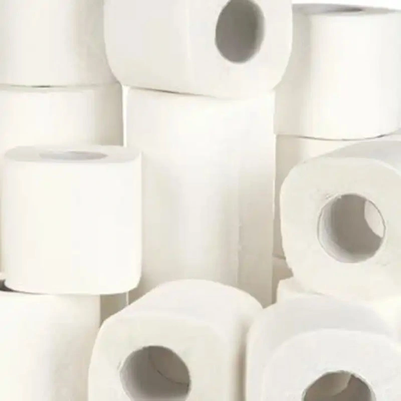 China Supplier Hot-Sale Water Soluble and Flushable Flushability Paper Printing Toilet Paper 6 Ply Toilet Roller Paper