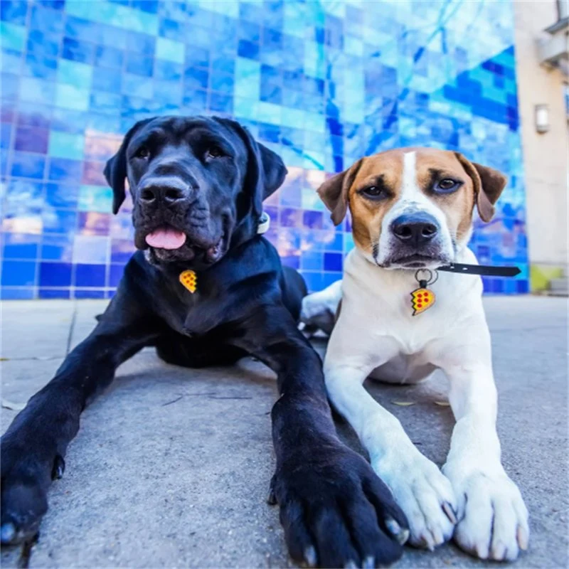 Conception en forme de cœur Étiquettes de chien personnalisées en silicone avec nom pour animaux de compagnie.