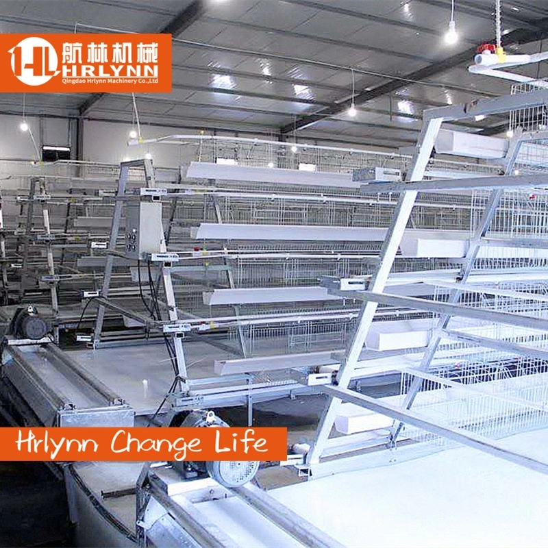 96/120/128/160 Capacity 3/4 Tiers Poultry Farm Chicken Cage