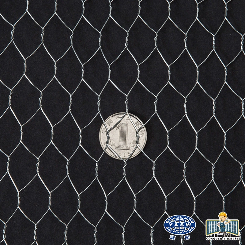 PVC Coated Square Chicken Coop Hexagonal Iron Wire Mesh