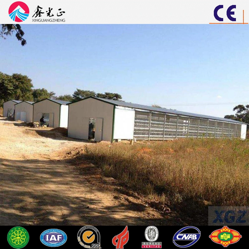 Automatic Cage Rising Broiler Layer Chicken Farm (Q345B/Q235B)