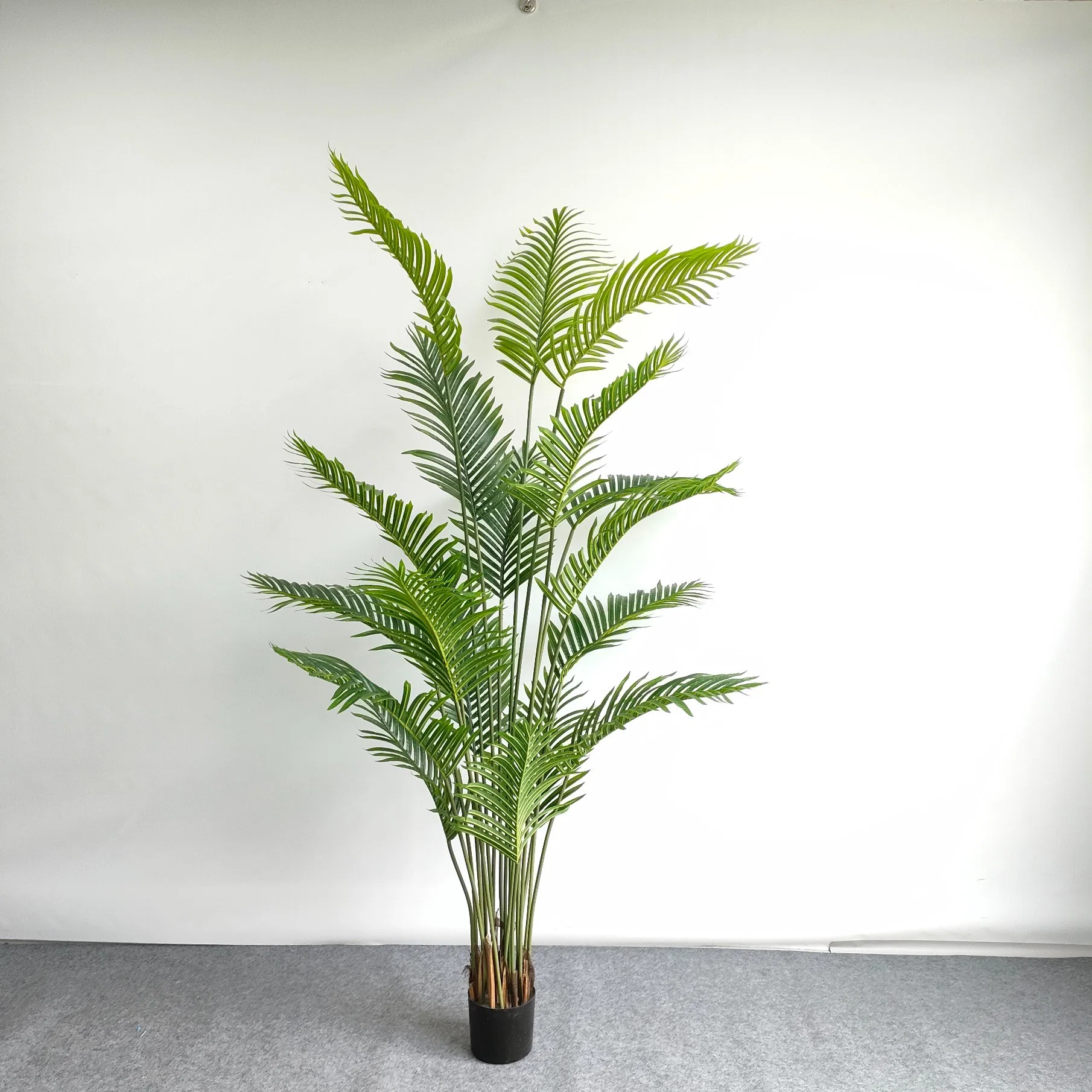 Dypsis Lutescens Areca Palm Palmeira plantas artificiais para decoração