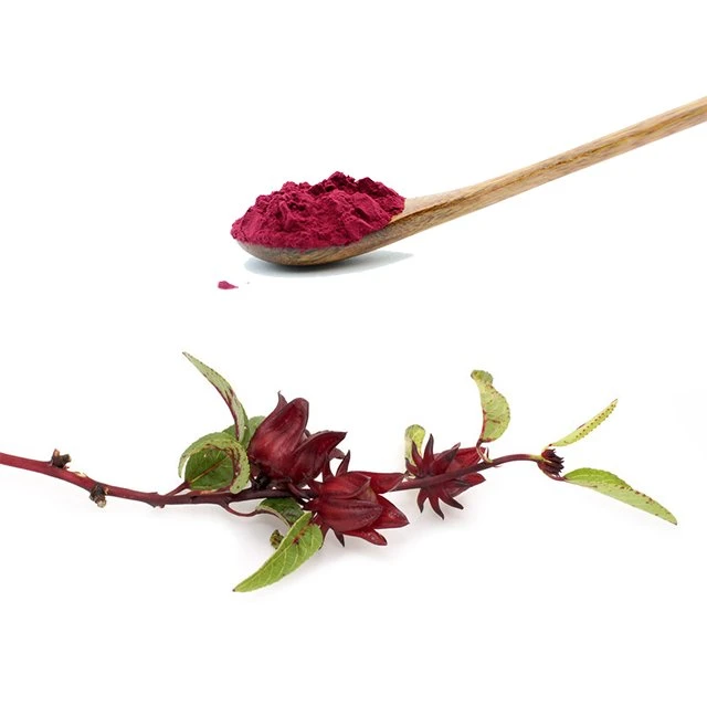 Extracto seco Natural orgânico Hibiscus Roselle flor planta pó