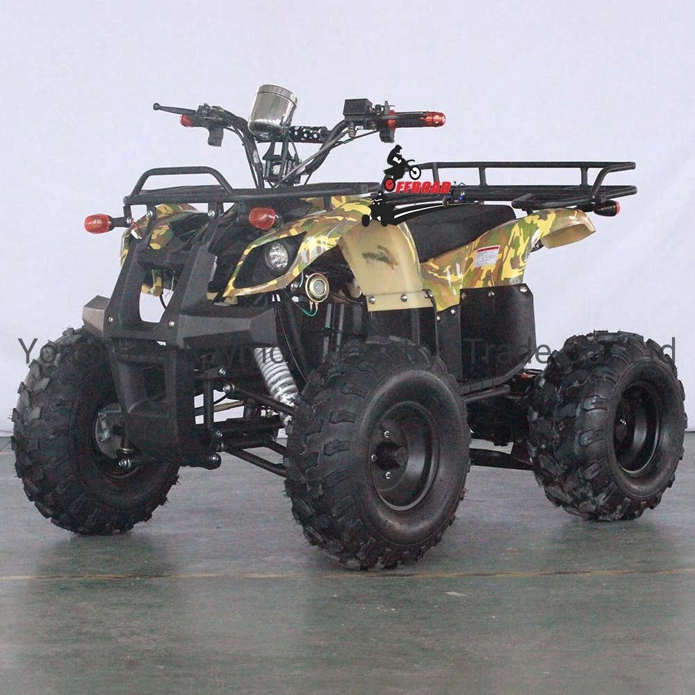 Adult off Road 4 Wheel Quad Bike 1000W 1500W 4X2 ATV for Sale