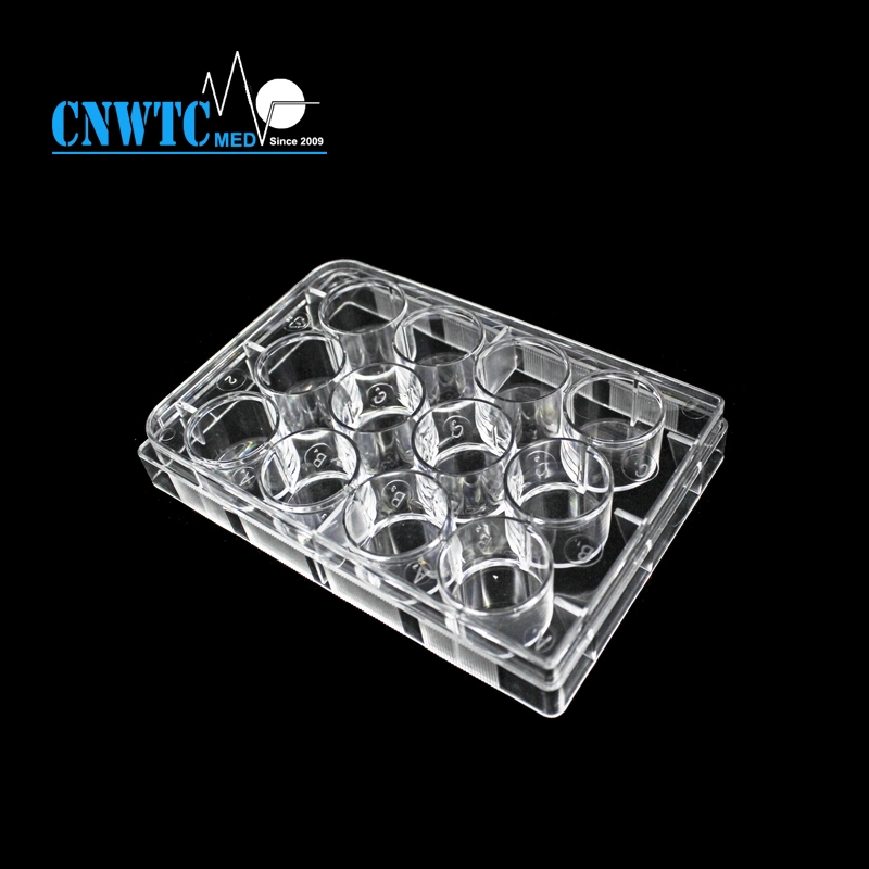 24well Laboratory Plastic Sterile PCR Reaction Cell Tissue Culture Plate