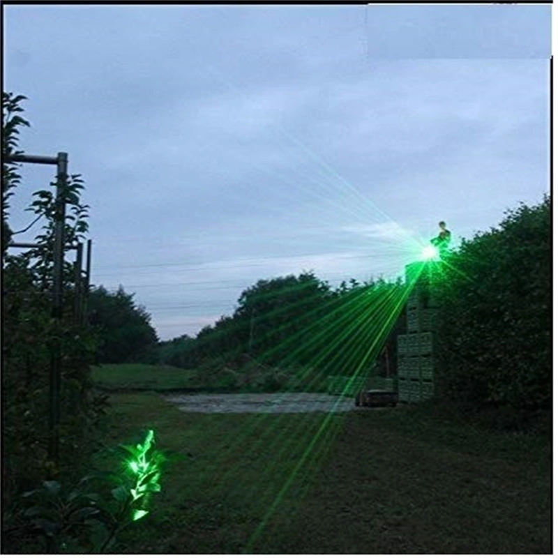 Portable Handheld Laser Brid Control Device Safe Scarer Barns Stables & Storage Sheds