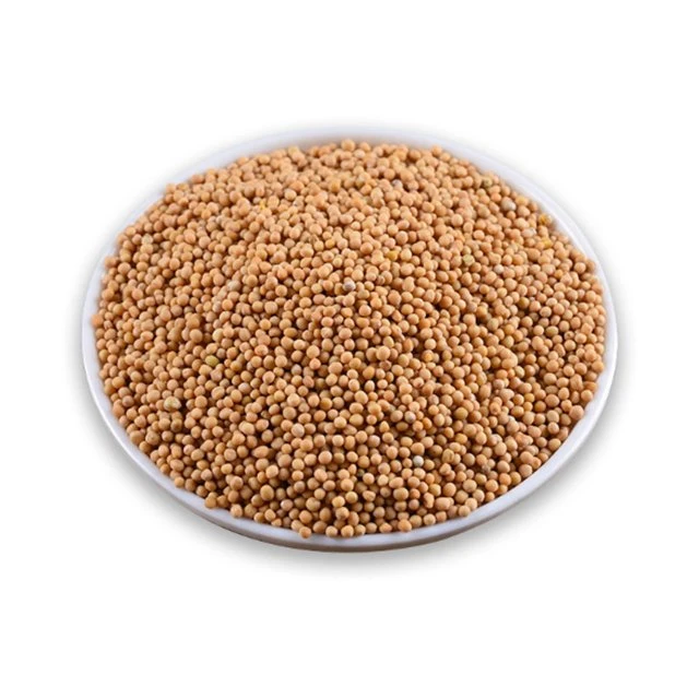 Bai Jie Zi Wholesale Herbal Medicine White Mustard Seed