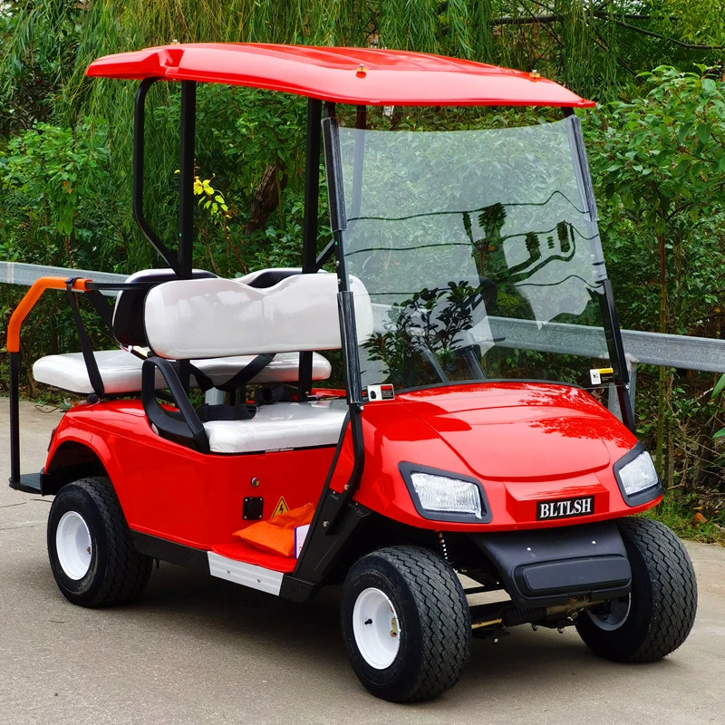 Lithium Battery AC Motor Ice Cream Golf Cart 4X4 Hunting Golf Cart Club Car for Farm Park