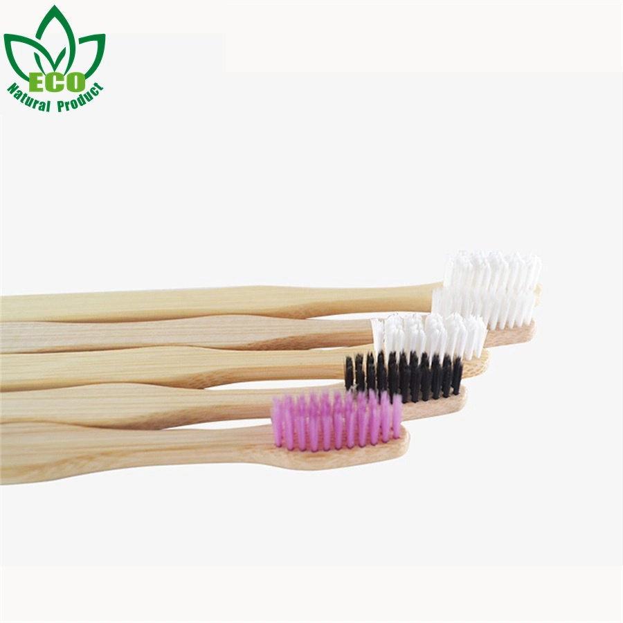 Bamboo Dental Brush Toothbrush in Bamboo Case