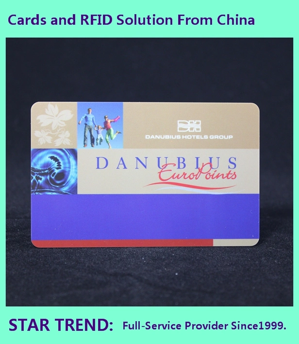 Customized Plastic Smart RFID Card Used as Membership Card, Business Card, VIP Card, Game Card, Gift Card, Plastic Smart RFID Card, NFC Card, RFID Tag