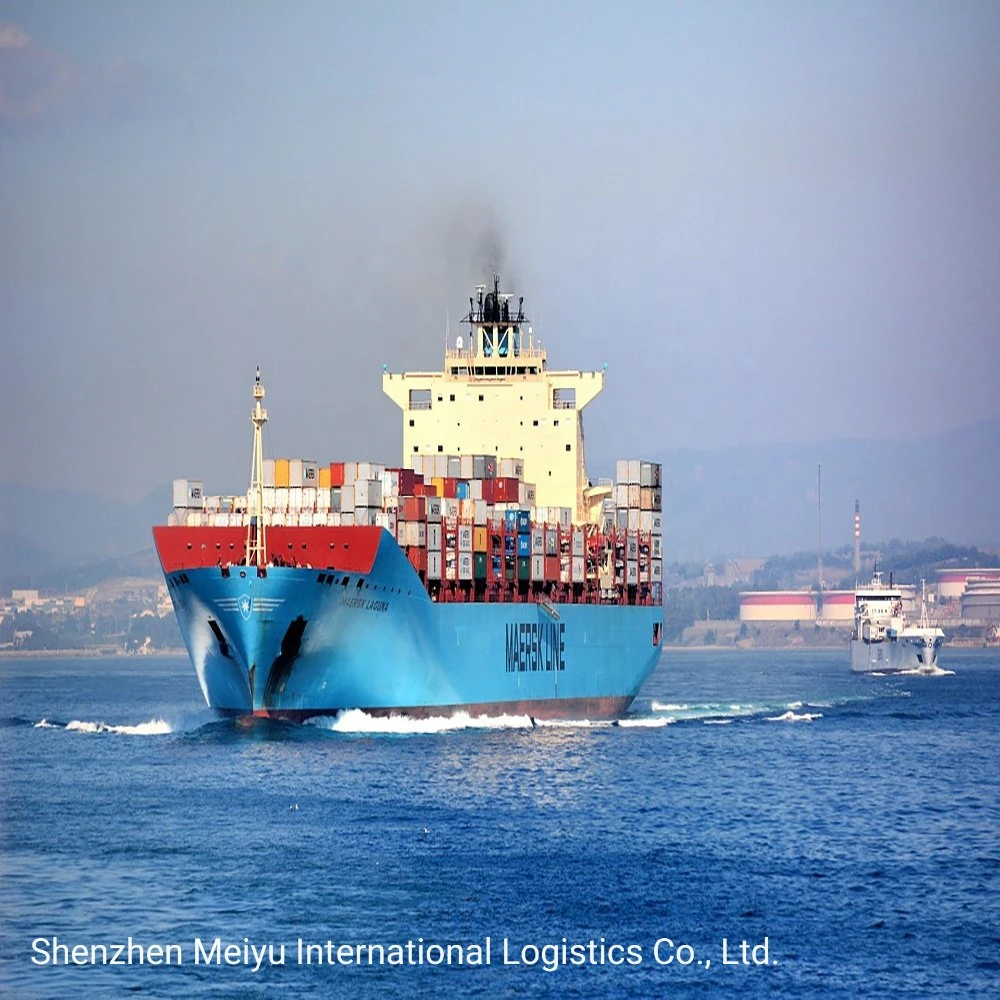 First-Class Sea Shipping Freight Carrier Ocean Logistics From China to All Over The World