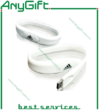 Christmas Gift USB Flash Drive with Customized Logo 17