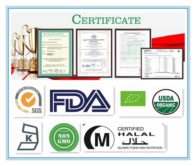 Zebrago Supply Favorable Price Nmn Nicotinamide Mononucleotide