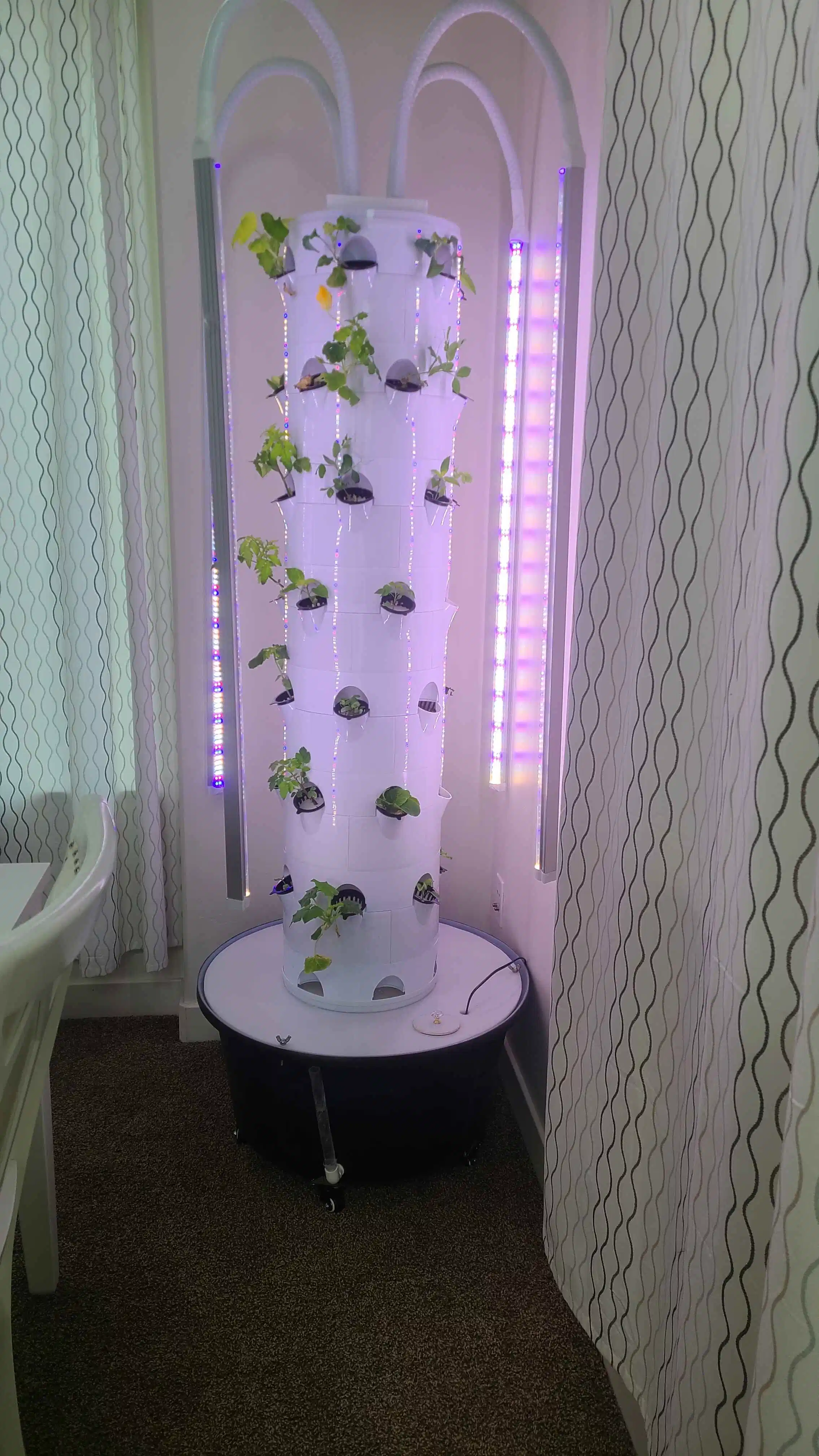 Tour Aeroponics vertical jardin hydroponique Kit croissante des fabricants de systèmes