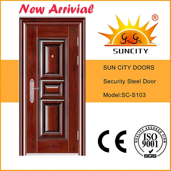 Hot Jordan Steel Door Main Design (SC-S063)