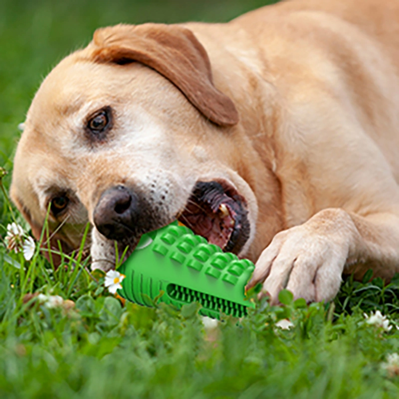 Pet Dog Colorful Rubber Bell Toy Bite Resistant Play Training Pet Chew Ball