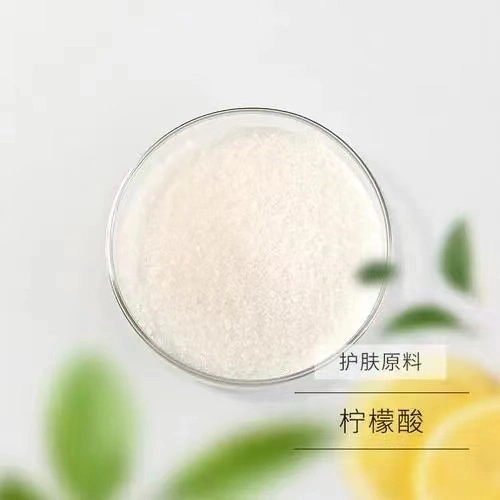 Manufacturer Supply Citric Acid for Food Additives