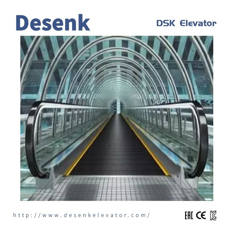 Dsk Cheap Price Passenger Escalator Moving Walk Indoor Escalator for Sale