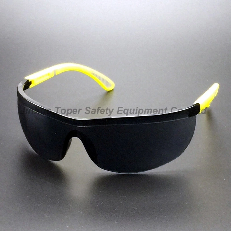 Safety Glasses Sun Glasses Optical Frame Reading Glasses (SG109)