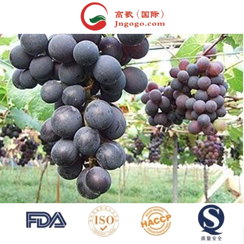 Hot Selling Top Quality Crimson Seedless Grapes for Wholesale/Supplier Newest Color Origin Super Type Comfort Variety Size