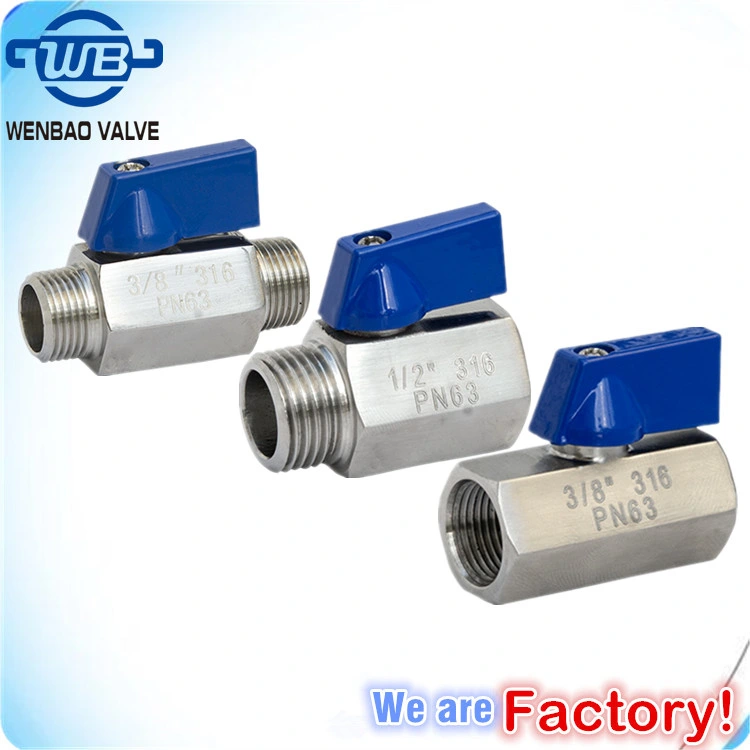 Male Threaded SS304 SS316 Butterfly Handle External Thread Stainless Steel Brass Mini Ball Valve for Hose and Pipe