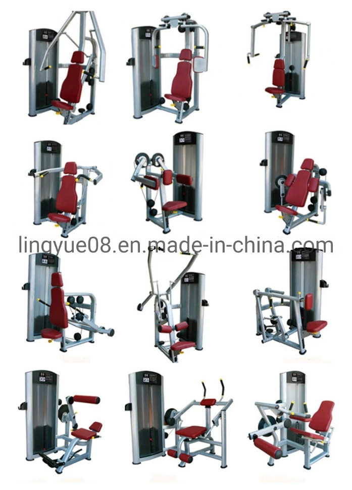 Bodybuilding Exercise Machines Strength Gym Equipment Pin Loaded Seated Biceps Curl L-8806