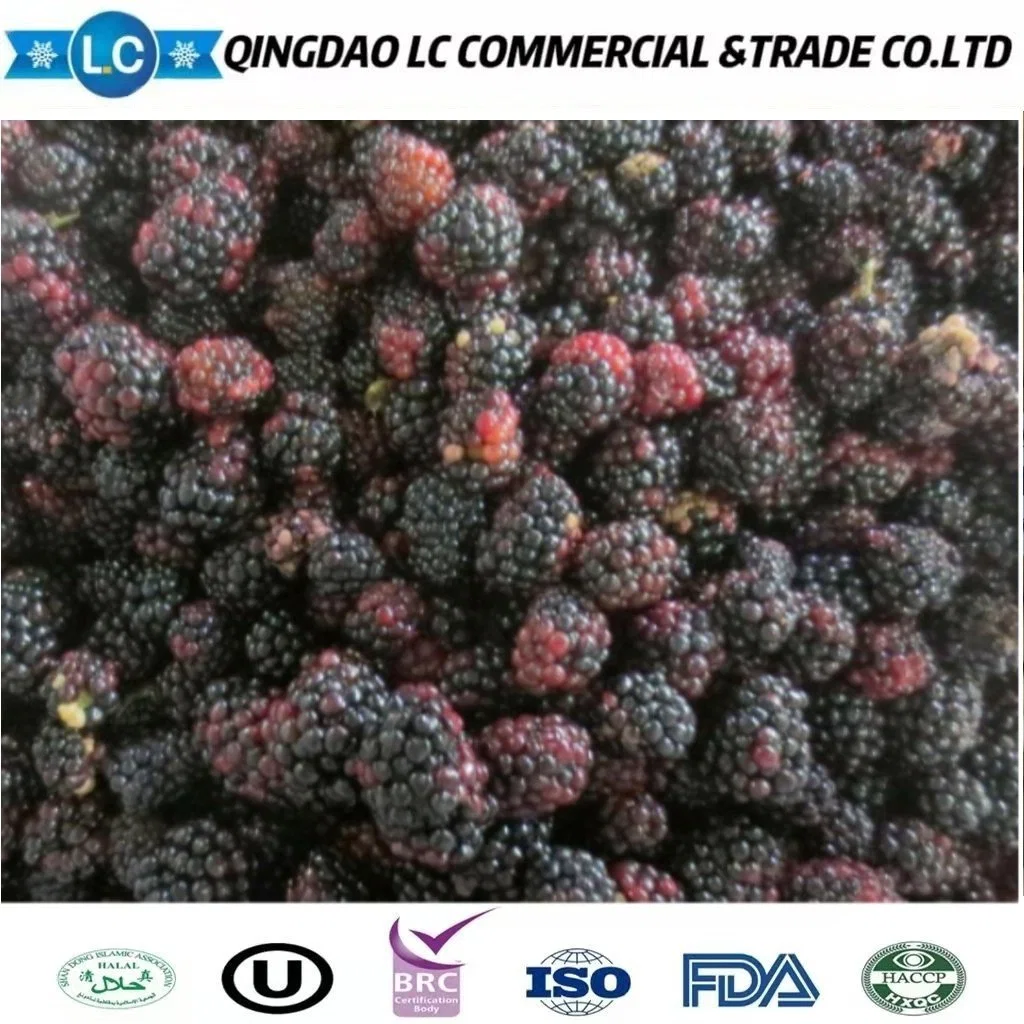 High Quality Bulk Frozen Fruit Blackberry Price Per Ton