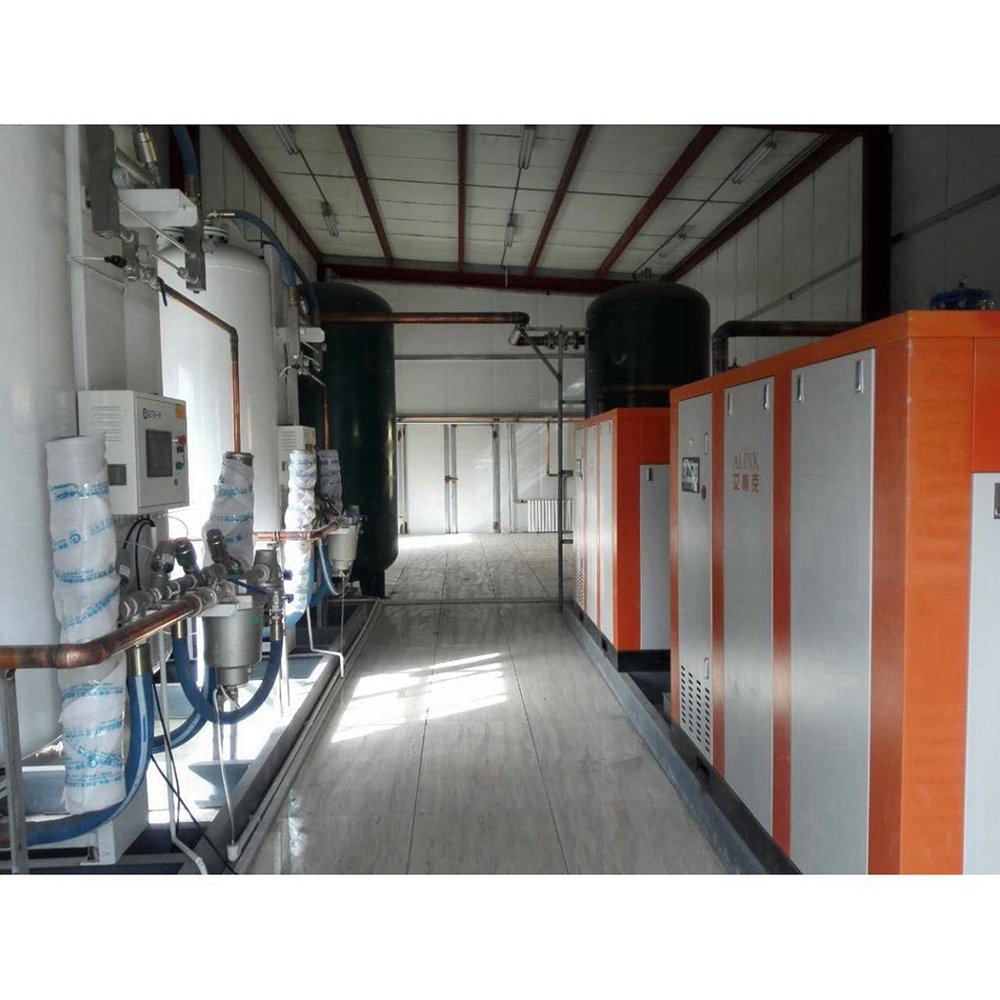 Air Separation Plant Medical / Hospital O2 Oxigen Gas Psa Oxygen Generator Equipment for Sale