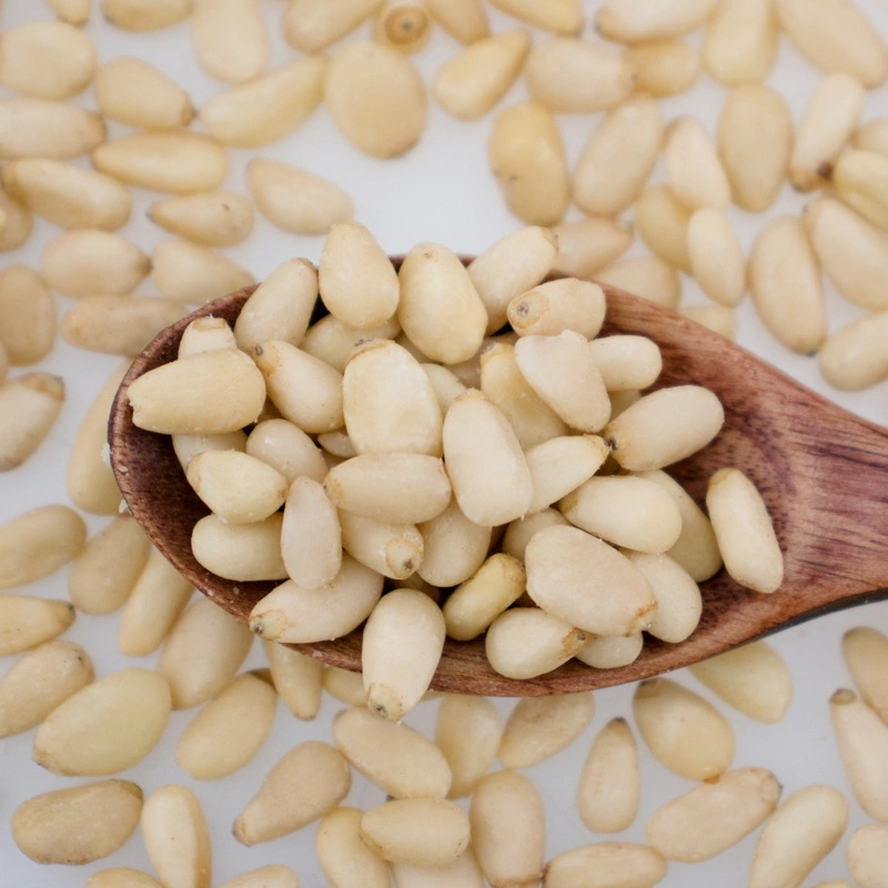 Top Quality Pine Nuts Kernels