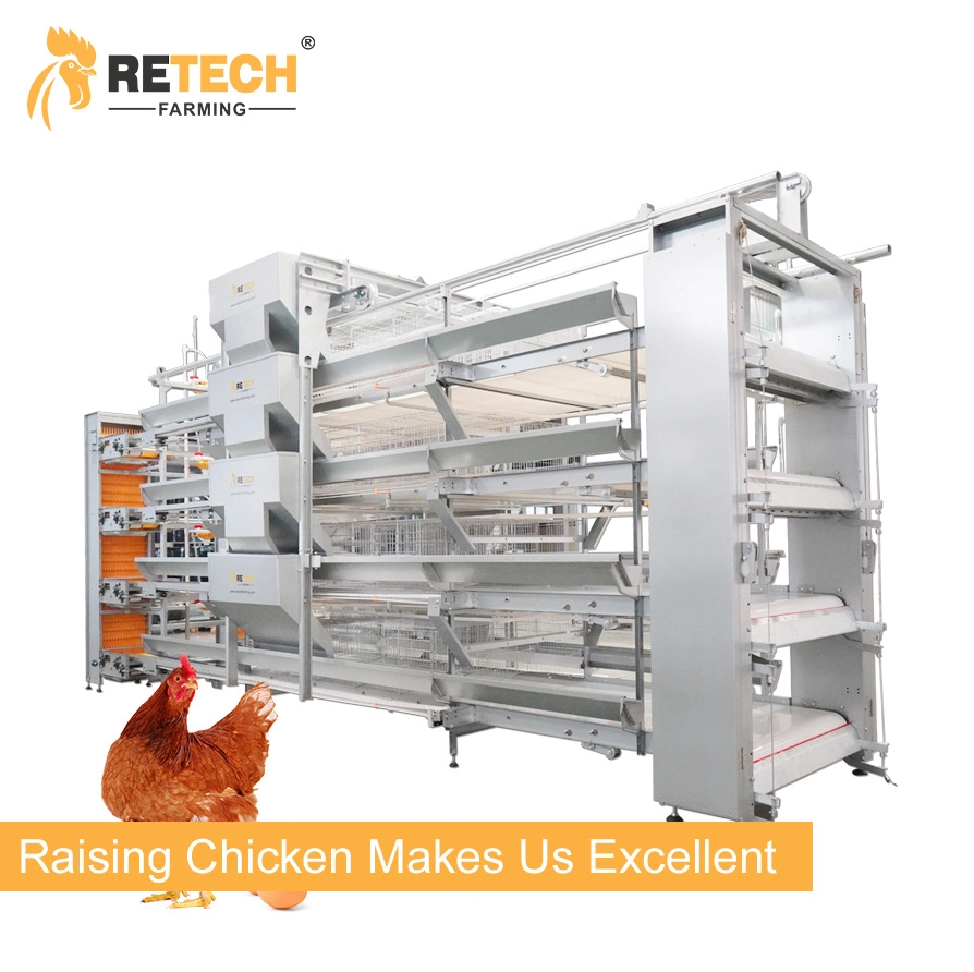 Automatic H Type Layer Poultry Equipment Price Battery Chicken Cage