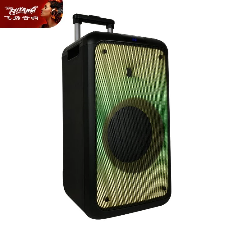 2022 Factory Trolley Portable Audio DJ Sound Box Professional Powered Bluetooth Wireless Speakers with Mic