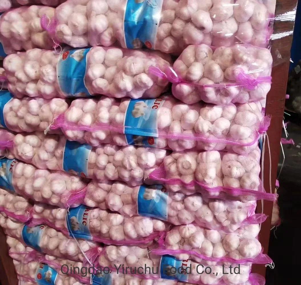 Direct Supply From Chinese Origin, High-Quality Garlic