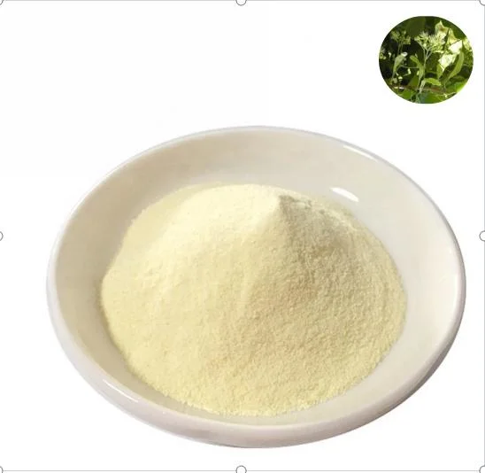 Factory Supply Natural Free Sample Kava Extract Powder 30% 40% 70% Kavalactone